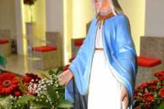 WhatsApp-Image-2022-07-11-at-19.46.48