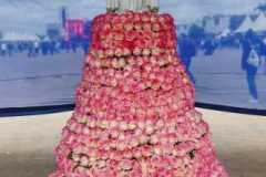 WhatsApp-Image-2022-11-08-at-23.42.00-6