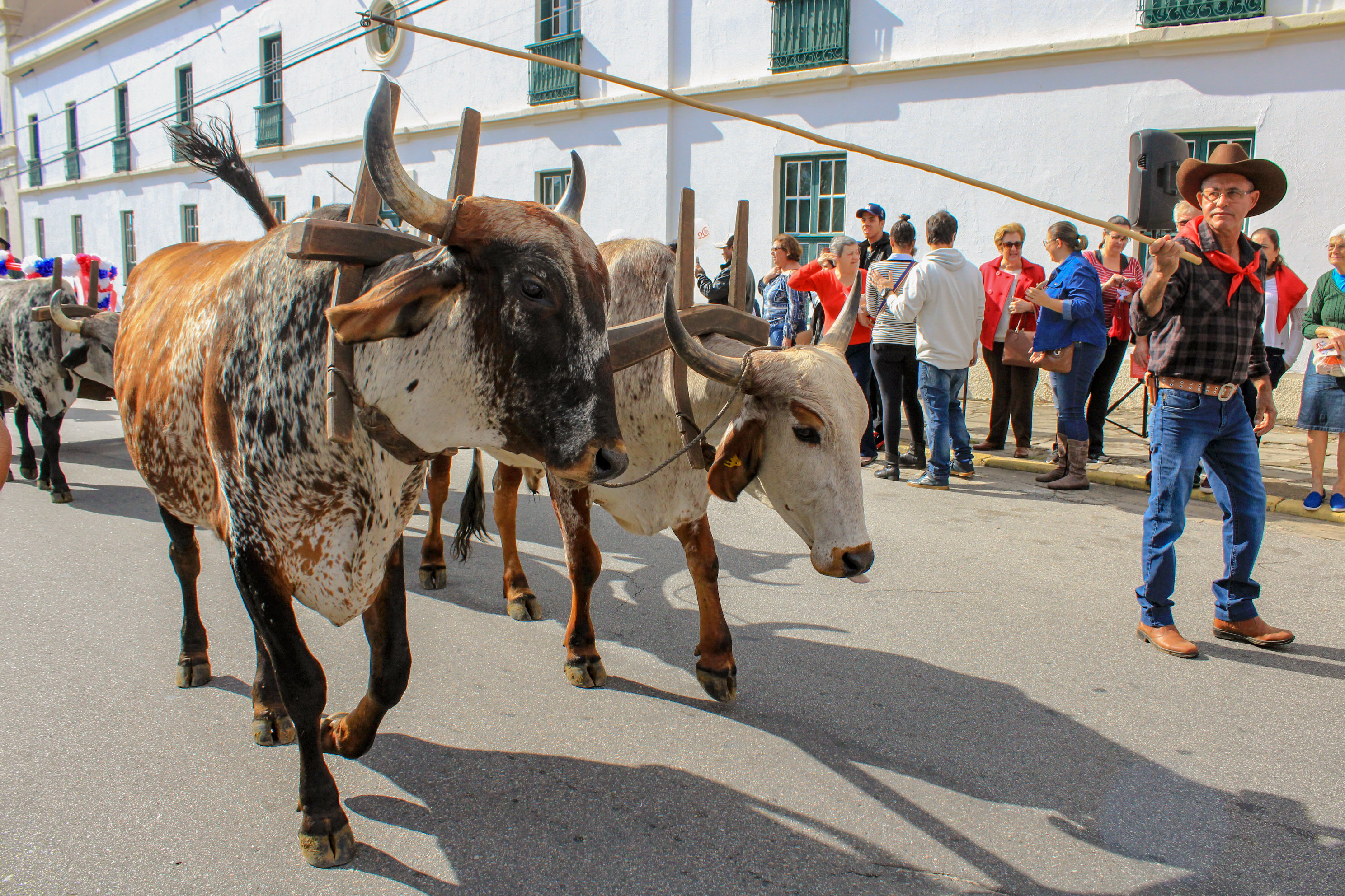 Desfile do Divino no Centro  reúne tradição e devoção