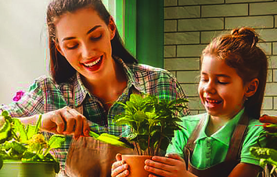 Cuidar de plantas: bom para  a saúde e mais beleza para a casa