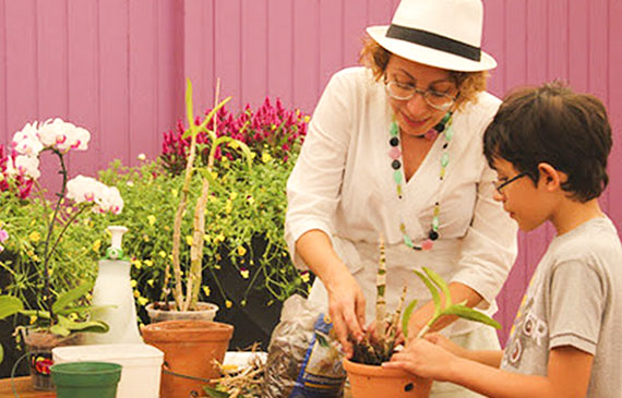 Internet oferece dicas e cursos sobre cuidados com as plantas