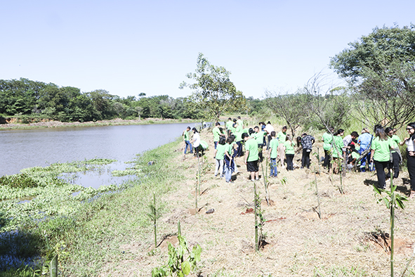 Mudas nativas são plantadas nas margens da Represa do Itaim