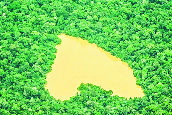 A Igreja na Amazônia testemunha a sinodalidade