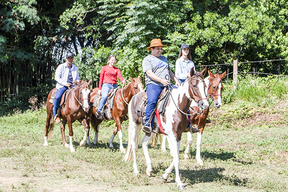 Sindicato Rural de Itu oferece 12 cursos gratuitos em Setembro