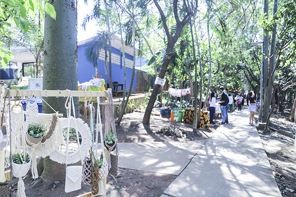 Edição Primavera da Feira EcoArt acontece neste domingo