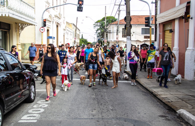 11ª Cãominhada de Itu acontece no próximo domingo