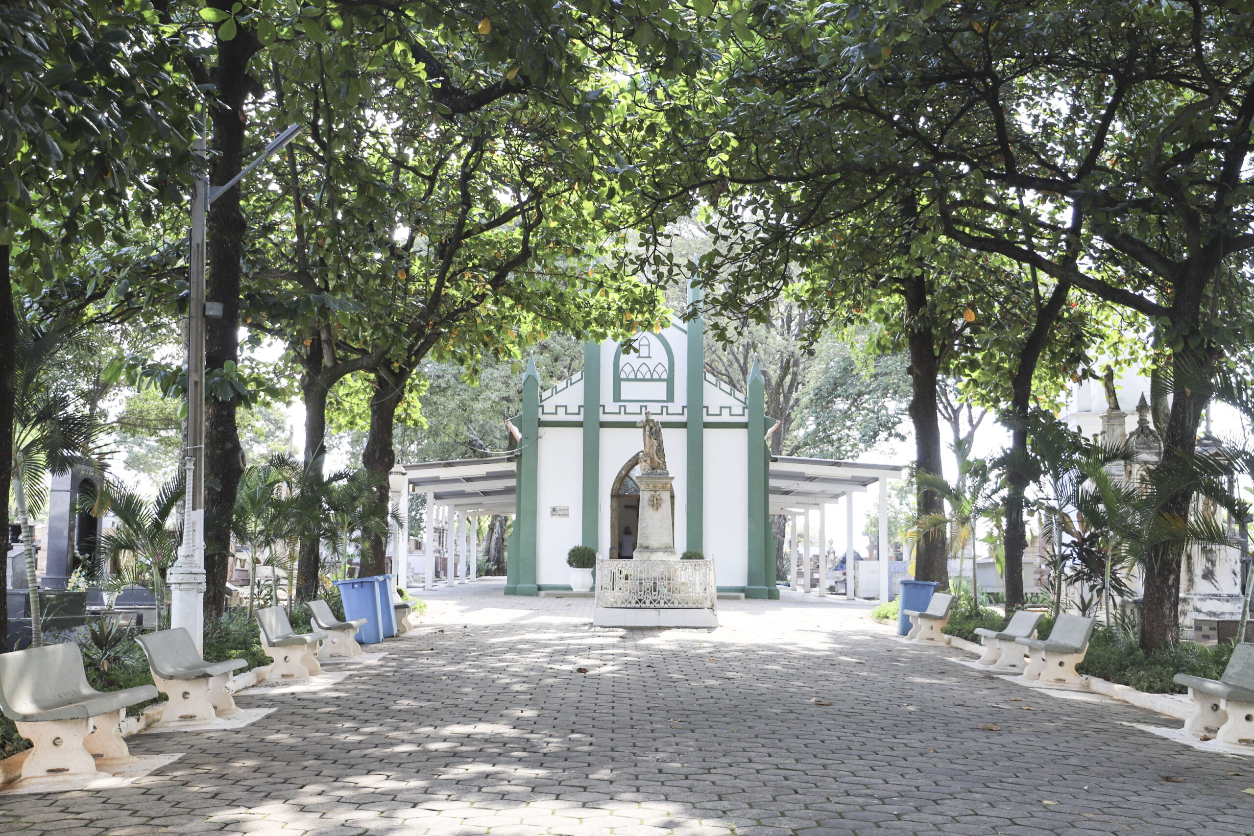 Exumação de mortos por Covid deve aguardar 5 anos