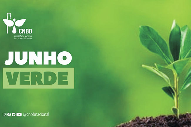 Presidente da CNBB, dom Jaime Spengler, presidiu celebração eucarística por ocasião da Campanha Junho Verde, em Brasília (DF)
