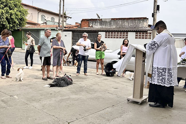 Bênção dos animais na São João Batista