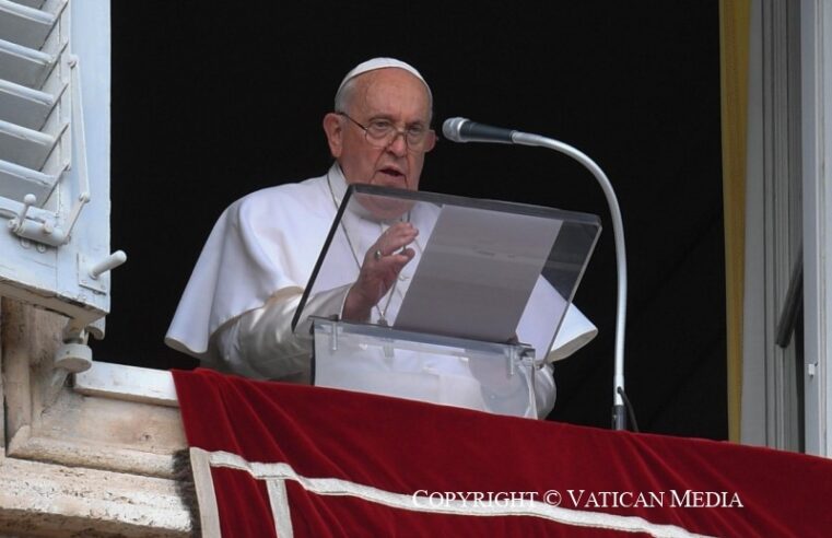 Papa Francisco: “do amor a Deus aprendemos a servir o próximo, como Madre Teresa de Calcultá”