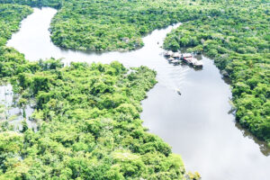 Aerial,View,Of,Amazon,Rainforest,In,Peru,,South,America.,Green