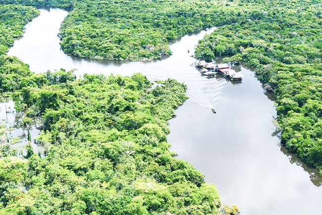 Líderes da Igreja católica se reúnem, em Brasília, para agenda de incidência em defesa da Amazônia