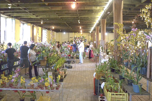 Espaço Fábrica São Luiz sedia Feiras  de Orquídeas e Exposição de Presépios