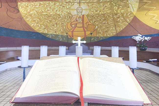 Dicastério para a Evangelização propõe o lema “Permanecei na minha palavra” para celebrar o Domingo da Palavra de Deus