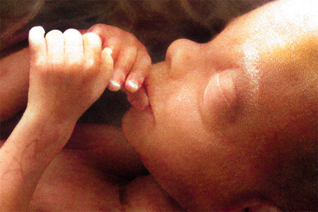 “Permitamos viver a mulher e o bebê”: CNBB considera importante a aprovação do PL 1904/2024