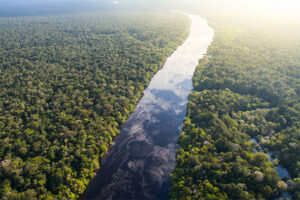 BANNER-SITE-MELHOR – 1