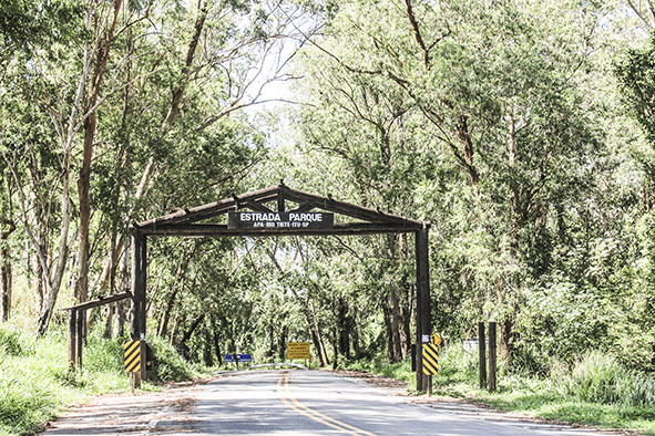 Projeto celebra o Rio Tietê com corrida e ciclismo em Itu