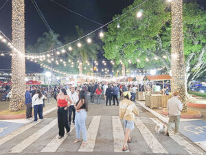 IMG_20251120_202026_1