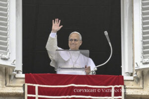 cq5dam.web.800.800 (4)