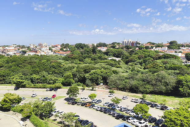 EcoArt terá participação do  Ceama+ neste domingo