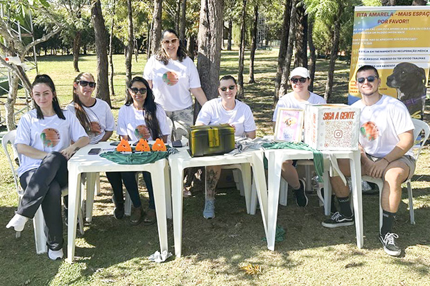 Bichos SA busca voluntários pontuais para a causa animal